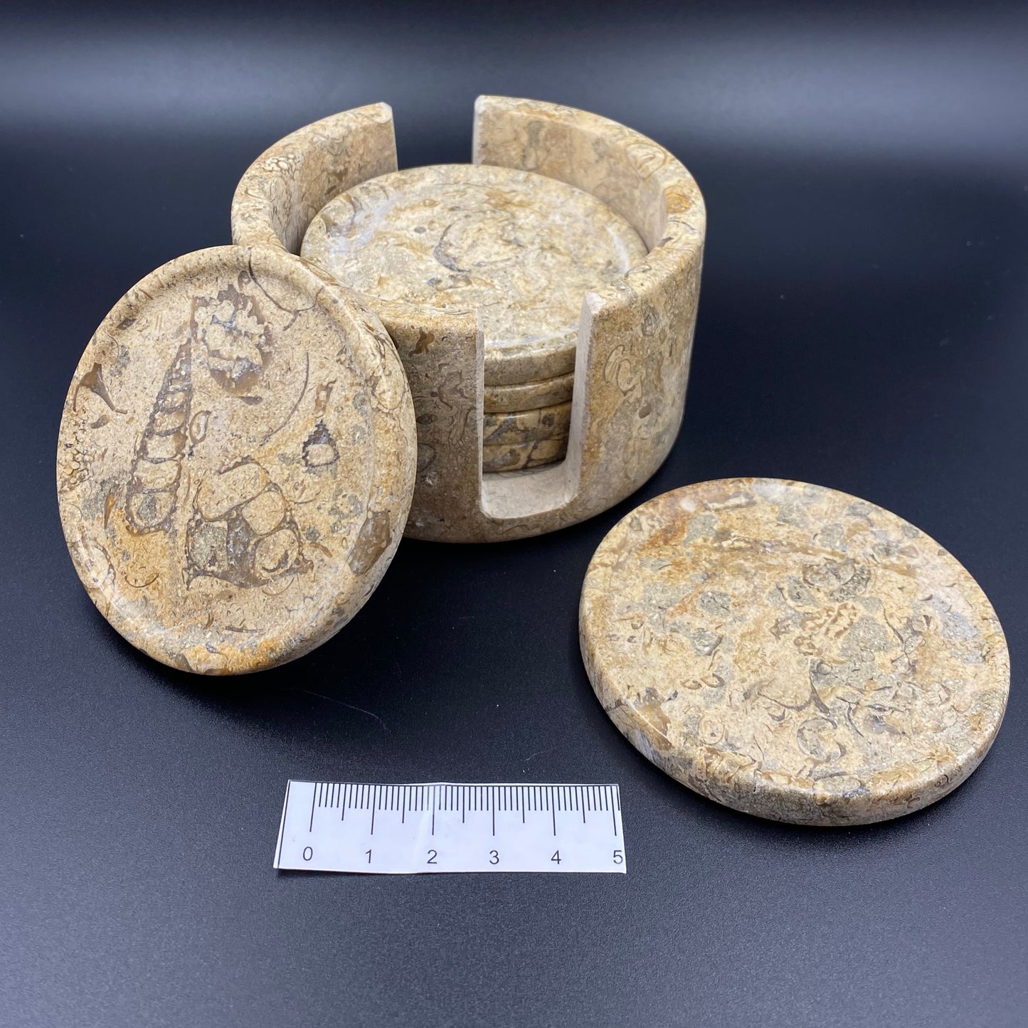 Fossil Coral Coasters with Holder