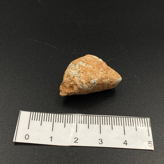 Lunar Meteorite