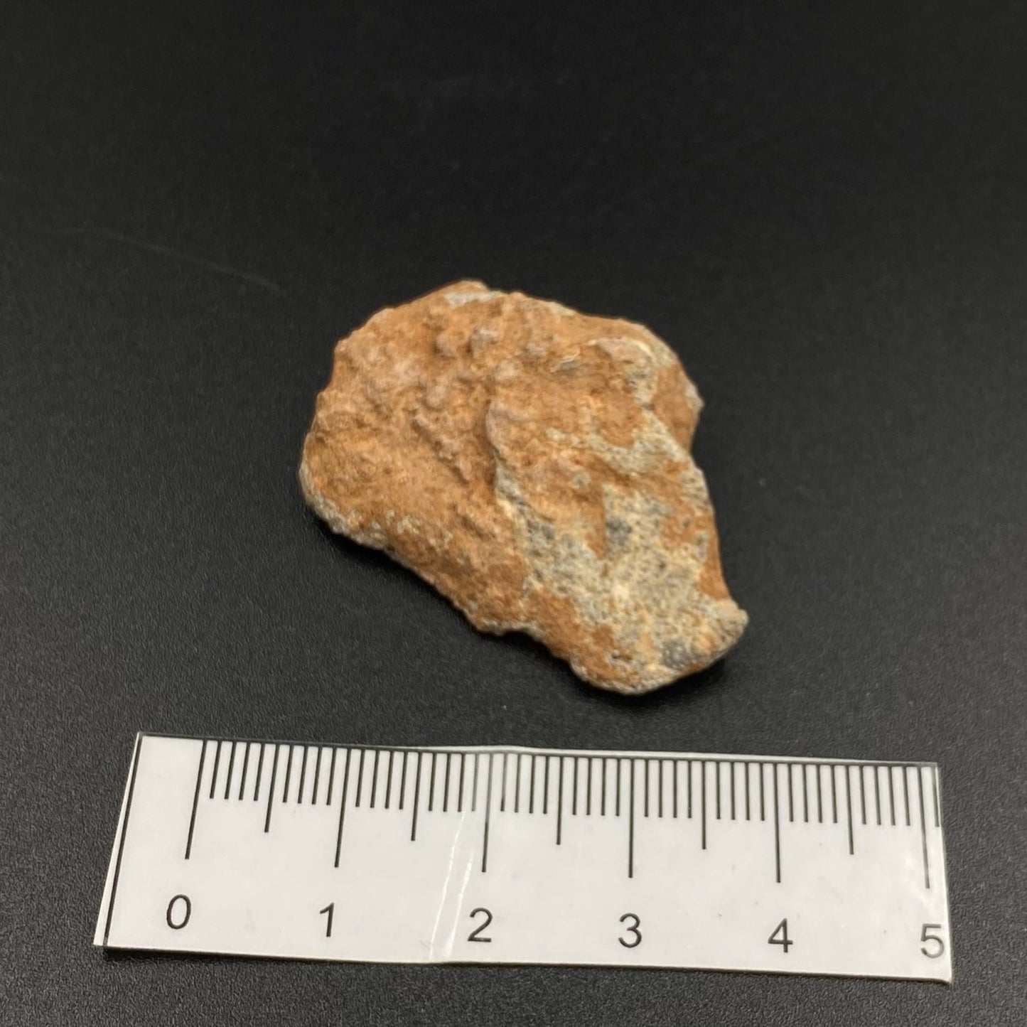 Lunar Meteorite