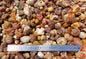 Agate Creek Agate Natural Form - 1kg