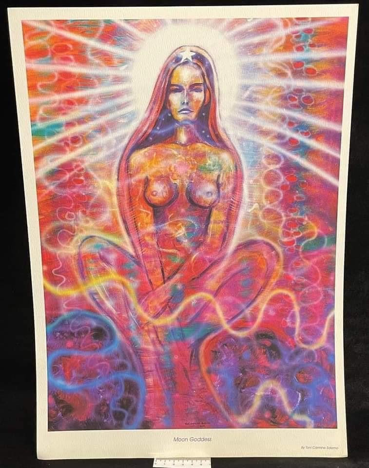 Poster Artwork by Toni Carmine Salerno