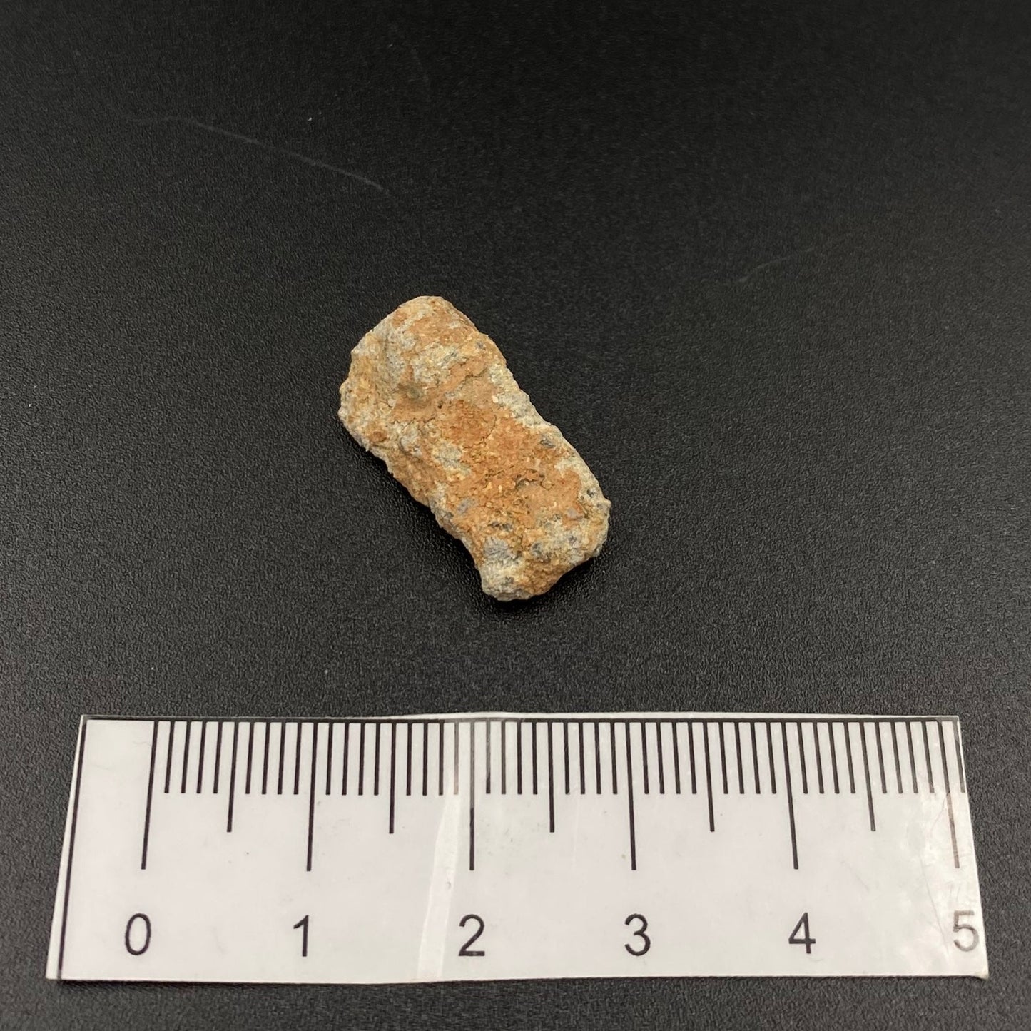 Lunar Meteorite