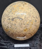 Fossil Coral Sphere