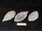 Selenite Oak Leaf Trinket Dish