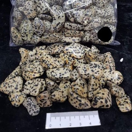 Dalmation Jasper Polished Tumbles